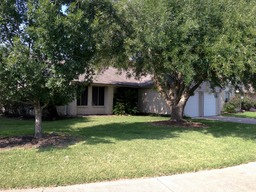 Pecan FrontYard