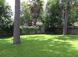 Sloangate-BackYard